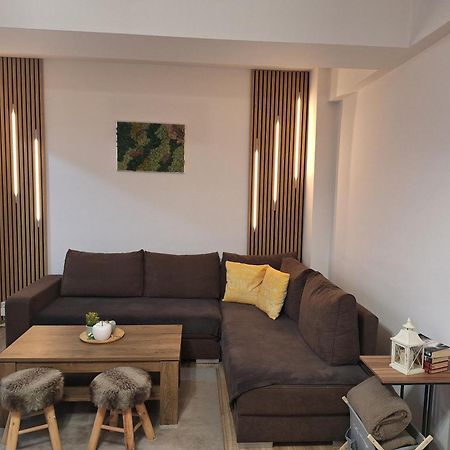 Angel Apartament Sibiu Exteriör bild