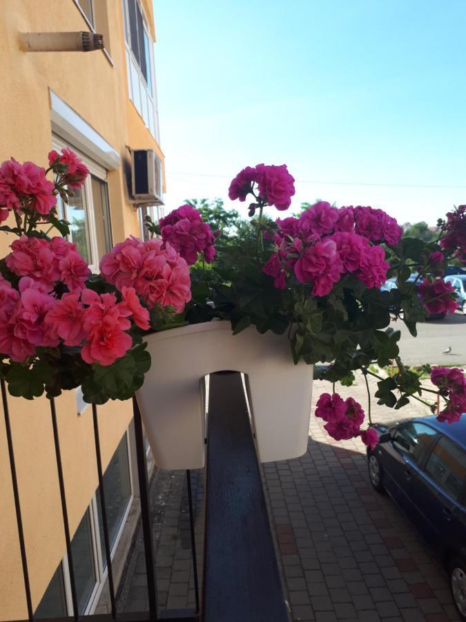 Angel Apartament Sibiu Exteriör bild