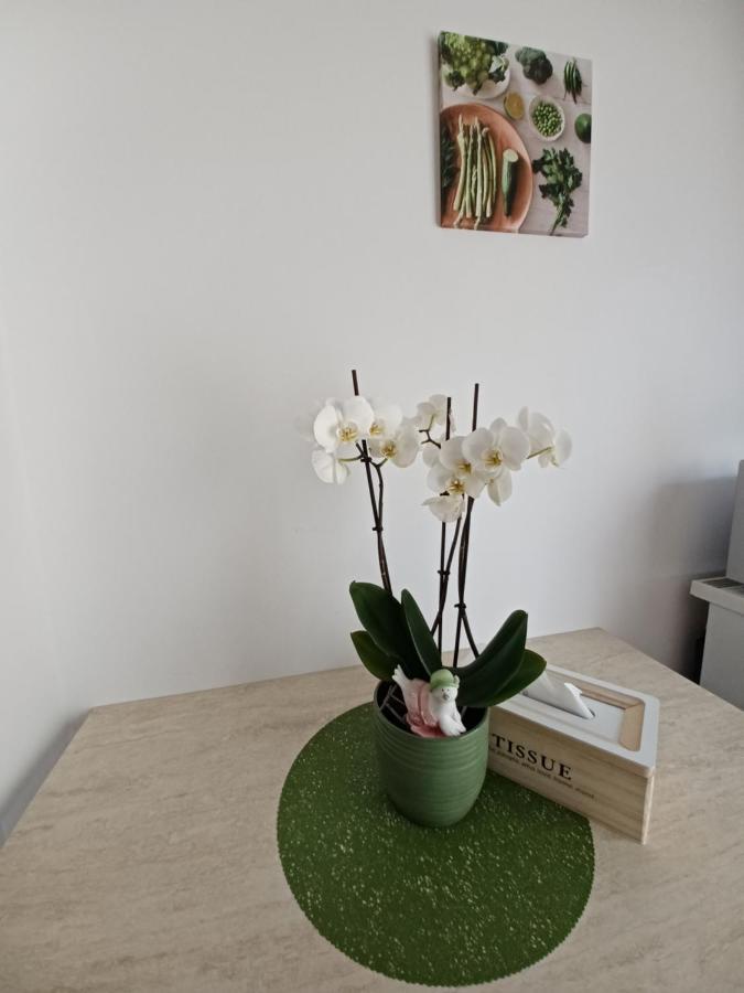 Angel Apartament Sibiu Exteriör bild