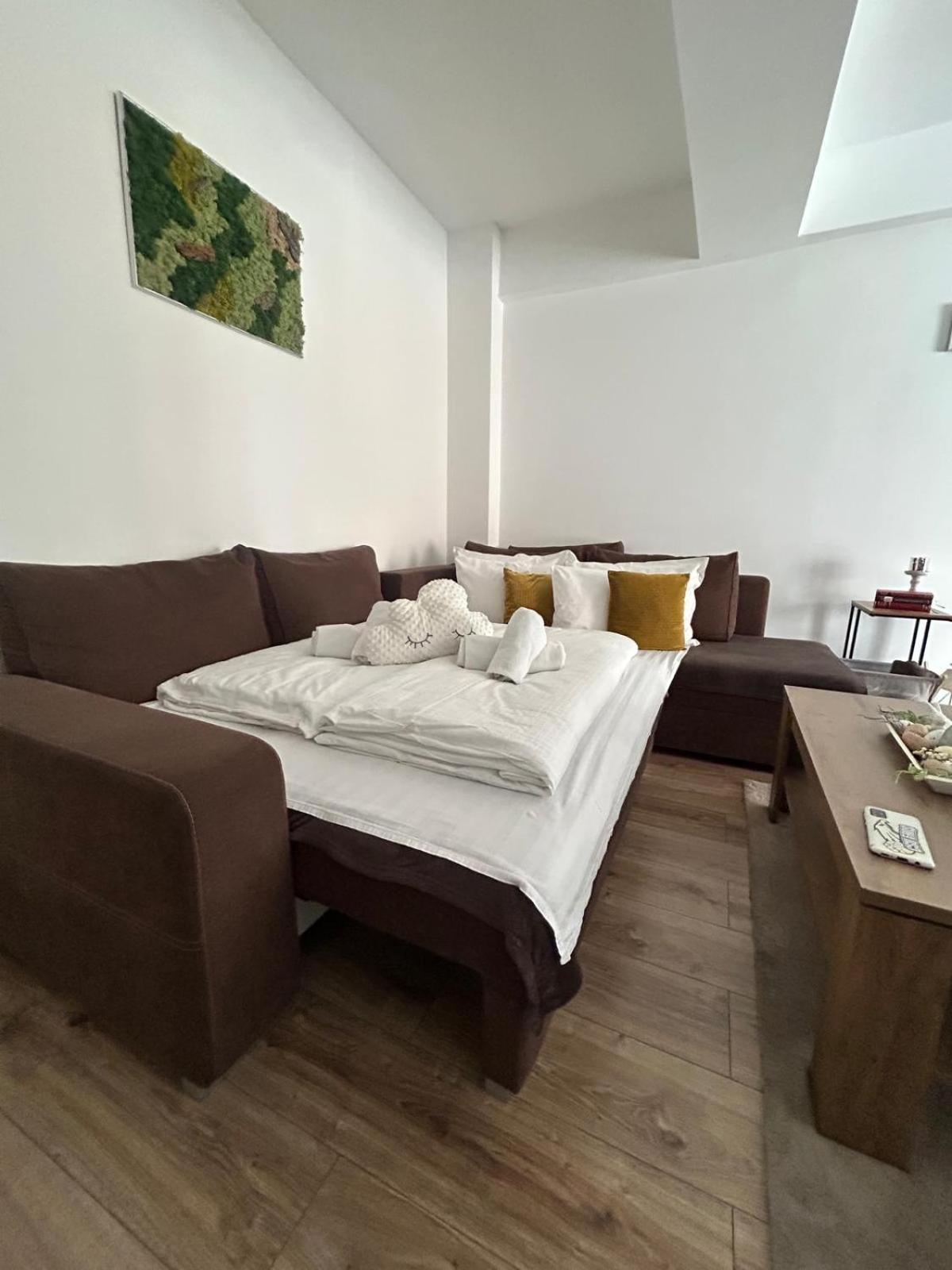 Angel Apartament Sibiu Exteriör bild